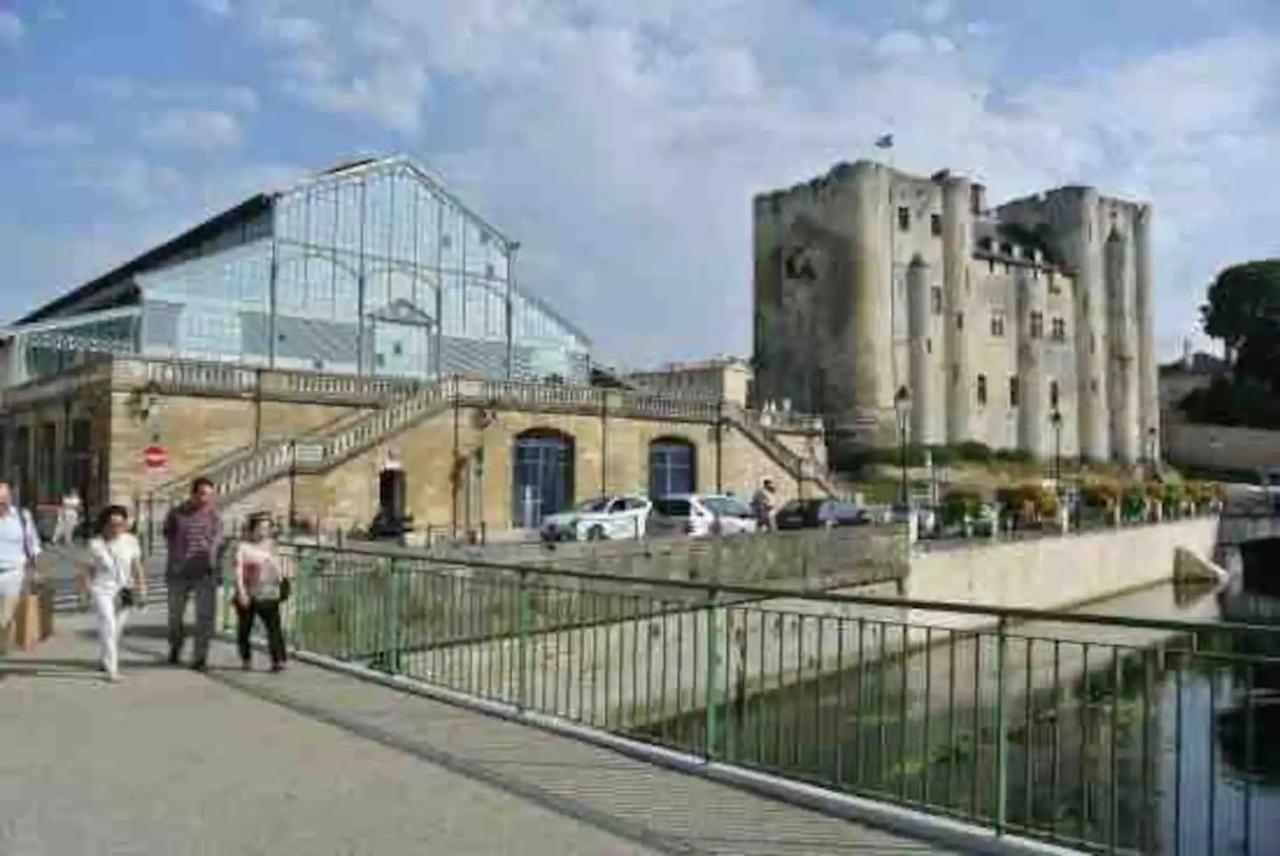 Le Jardin Niortais - Hyper Centre- Proche Gare - Paisible - Grand Jardin Prive, Wifi Hd -Netflix Appartement Buitenkant foto